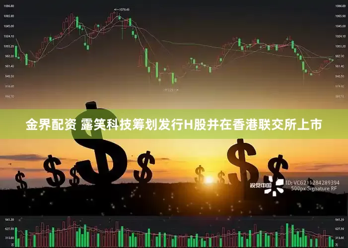 金界配资 露笑科技筹划发行H股并在香港联交所上市